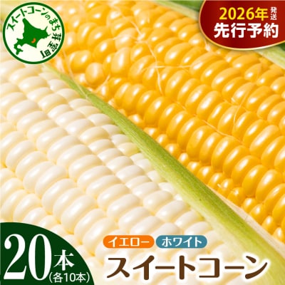 【先行受付】北海道芽室町とうもろこし イエロー種、ホワイト種各10本ずつ　me002-016c-26