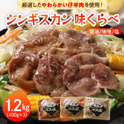 3種のラムジンギスカン味くらべセット1.2kg(400g×3袋) me006-002c