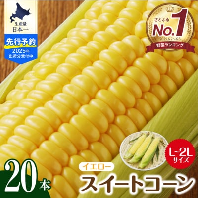 【7月下旬～9月頭頃発送予定】北海道芽室町  スイートコーン20本 イエロー me002-014