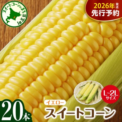 【8月より発送!】北海道芽室町  スイートコーン 20本 イエロー
