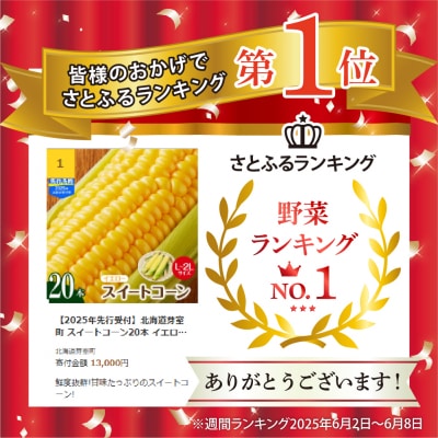 【7月下旬～9月頭頃発送予定】北海道芽室町  スイートコーン20本 イエロー me002-014