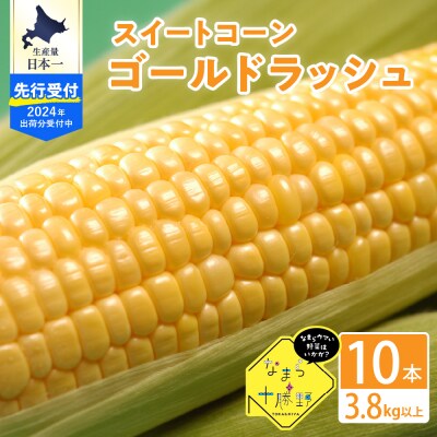 【先行受付】北海道十勝芽室町 スイートコーンゴールドラッシュ10本 me001-003-24c | ふるさと納税のお礼品