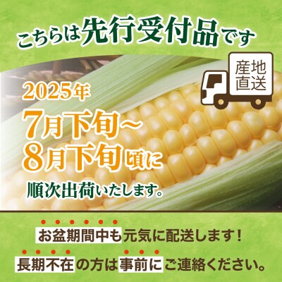 【先行受付】北海道十勝芽室町 スイートコーンゴールドラッシュ10本 me001-003c-25