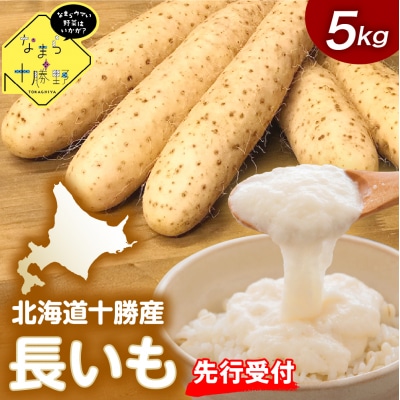 【12月中旬以降発送】北海道十勝芽室町 長いも 5kg me001-010c