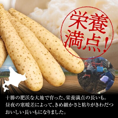 【12月中旬以降発送】北海道十勝芽室町 長いも 5kg me001-010c