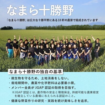 北海道十勝芽室町 長いも 5kg me001-010c