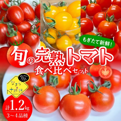 旬の完熟トマト3～4品種詰め合わせ食べ比べセット me001-013c