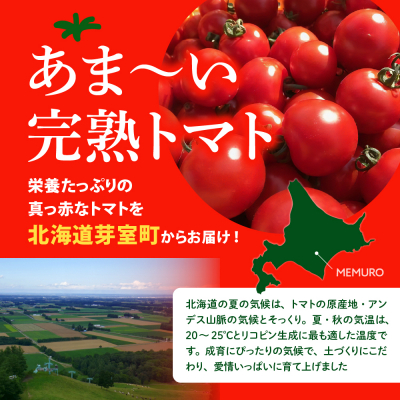 旬の完熟トマト3～4品種詰め合わせ食べ比べセット me001-013c