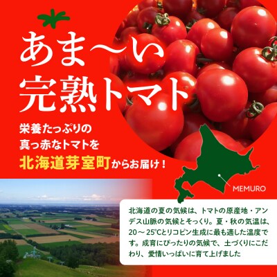 【先行受付】【2026年8月上旬より順次発送】旬の完熟トマト3～4品種詰め合わせ食べ比べセット