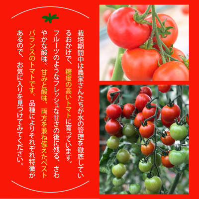 旬の完熟トマト3～4品種詰め合わせ食べ比べセット me001-013c