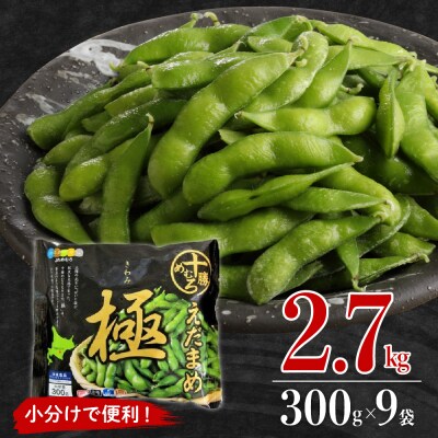 [先行受付][10月末より出荷予定]北海道芽室町 えだまめ「極」300g×9袋 me003-002c