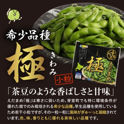 北海道芽室町 えだまめ「極」300g×9袋 me003-002c