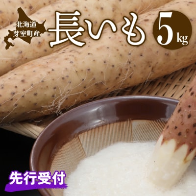 【11月より配送】北海道十勝芽室町 長いも 約5kg me002-015c