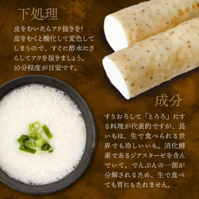 【先行受付】【2026年11月より配送予定】北海道十勝芽室町 長いも 約5kg me002-015c