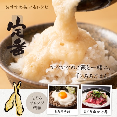 【先行受付】【2026年11月より配送予定】北海道十勝芽室町 長いも 約5kg me002-015c