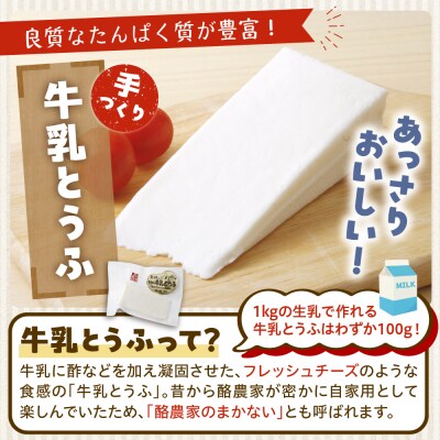 北海道十勝芽室町 安定剤不使用 あいす屋の手作り牛乳とうふ&ヨーグルトセット me008-001c