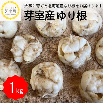 北海道十勝芽室町 ゆりね 1kg(Lサイズ9玉入り1kg) me010-001c