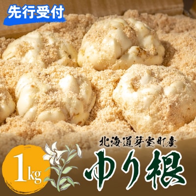 【先行受付 2026年12月中旬より発送】北海道十勝芽室町 ゆりね 1kg(Lサイズ9玉入り1kg)