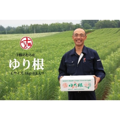 【先行受付】【12月中旬より発送】北海道十勝芽室町 ゆりね 1kg(Lサイズ9玉入り1kg)