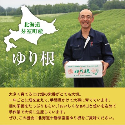 【先行受付 2026年12月中旬より発送】北海道十勝芽室町 ゆりね 1kg(Lサイズ9玉入り1kg)