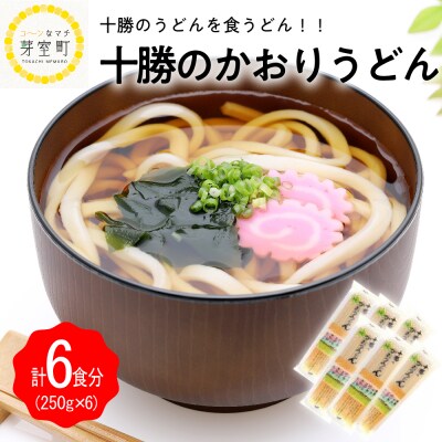 北海道十勝芽室町 BITO LABO十勝のかおりうどん　250g×6 me004-003c