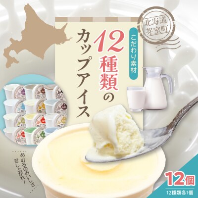 北海道十勝芽室町 12種類の味が楽しめる 安定剤不使用 カップアイスクリーム me008-002c