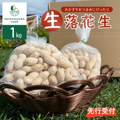 【2025年先行受付】北海道十勝芽室町 生落花生 茹で用 郷の香1kg me028-003c-25