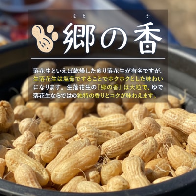 【2025年先行受付】北海道十勝芽室町 生落花生 茹で用 郷の香1kg me028-003c-25