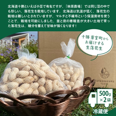 【2026年先行受付】北海道十勝芽室町 生落花生 茹で用 郷の香1kg me028-003c-26