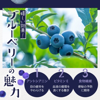 【2026年先行受付】 北海道十勝芽室町　上美生のたからばこ　上美生の生ブルーベリーとポストカード
