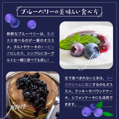 【2026年先行受付】 北海道十勝芽室町　上美生のたからばこ　上美生の生ブルーベリーとポストカード