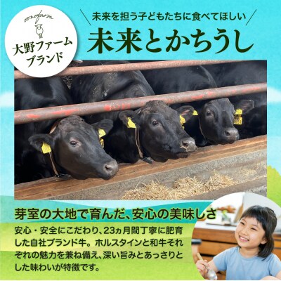 北海道十勝芽室町 カウ・カウビーフシチュー・ビーフカレー 各2個 me007-009c