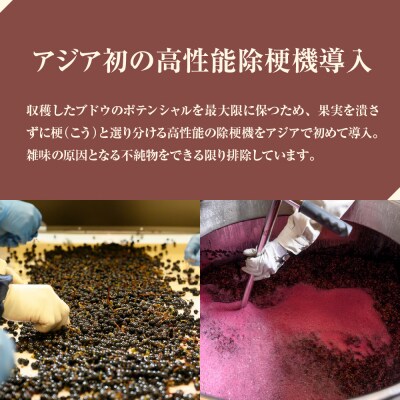 北海道十勝芽室町 つながる vin2022　750ml×1本  me032-041c