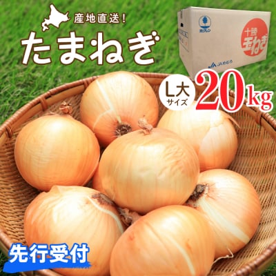 【2026年産先行受付】【10月上旬より発送】北海道十勝めむろ産　たまねぎ L大サイズ 20kg