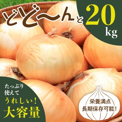 【2026年産先行受付】【10月上旬より発送】北海道十勝めむろ産　たまねぎ L大サイズ 20kg