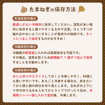 【2026年産先行受付】【10月上旬より発送】北海道十勝めむろ産　たまねぎ L大サイズ 20kg