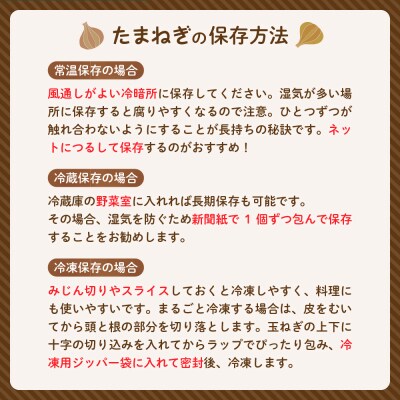 【2026年産先行受付】【10月上旬より発送】北海道十勝めむろ産　たまねぎ L大サイズ 20kg