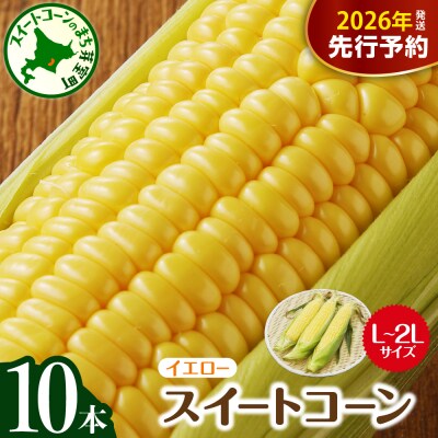 【先行受付】北海道芽室町 スイートコーン10本イエロー me002-004c-26