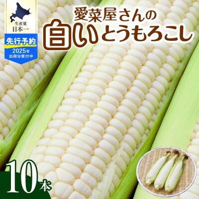 【2025年産先行受付】北海道十勝芽室町 とうもろこし 10本 ホワイト me002-005c-25