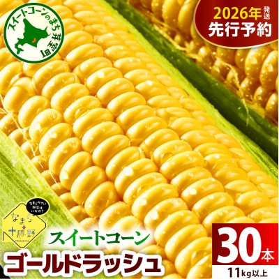 【先行受付】なまら十勝野のスイートコーン ゴールドラッシュ30本 me001-011c-26