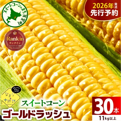 【先行受付】なまら十勝野のスイートコーン ゴールドラッシュ30本 me001-011c-26