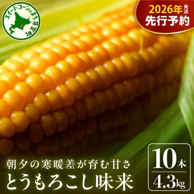 【2026年分先行受付】北海道十勝 芽室町産 朝獲れ とうもろこし 味来10本
