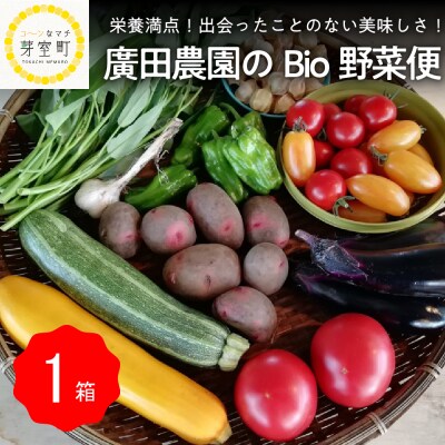 北海道十勝芽室町 栽培期間中 無農薬で育てた旬の美味しい野菜便 me031-002