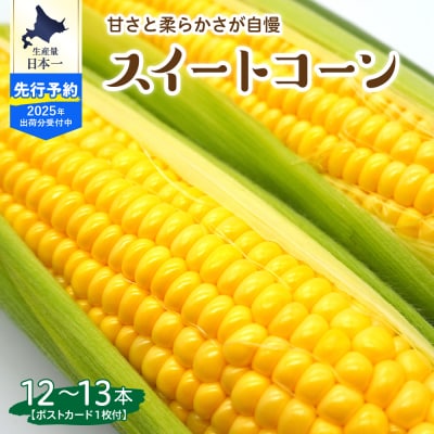 【先行受付】上美生のたからばこゴールドラッシュ12～13本ポストカードme029-001c-25