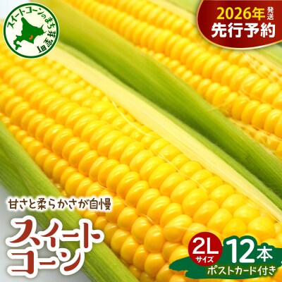 【先行受付】北海道十勝芽室町とうもろこしゴールドラッシュ 2Lサイズ以上12本ポストカード セット 