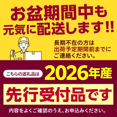 【先行受付】北海道十勝芽室町とうもろこしゴールドラッシュ 2Lサイズ以上12本ポストカード セット 