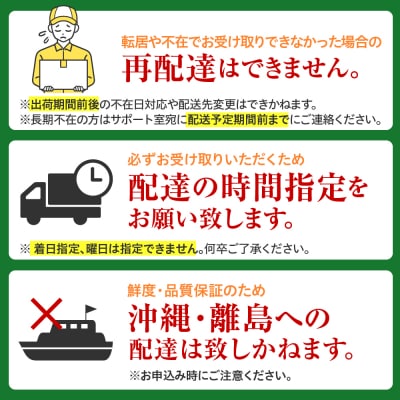 【先行受付】北海道十勝芽室町とうもろこしゴールドラッシュ 2Lサイズ以上12本ポストカード セット 