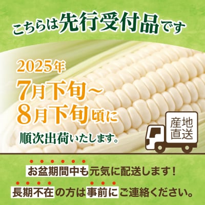 【2025年分先行予約】廣田農園の白いスイートコーン 10本 me031-001c-25