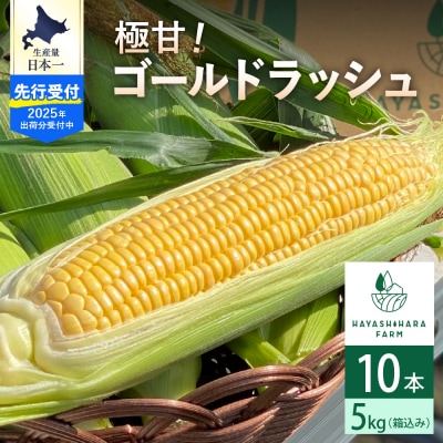 【2025年先行受付】北海道芽室町とうもろこし ゴールドラッシュ 10本 me028-001c-25