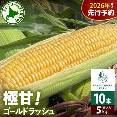 【2026年先行受付】北海道芽室町とうもろこし ゴールドラッシュ 10本 me028-001c-26